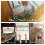 Charm nest accessories, wings necklace, feather earrings